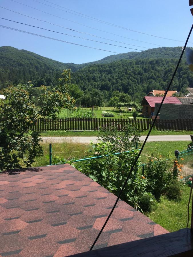 Ferienhaus ромашка Scheschory