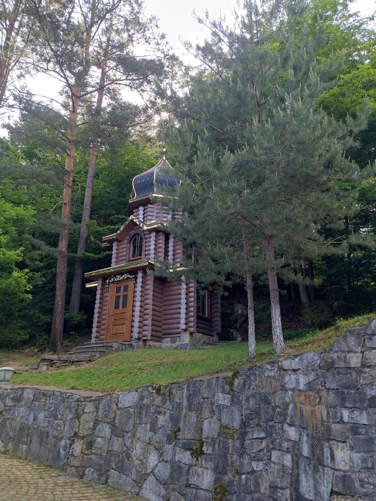 ромашка Scheschory