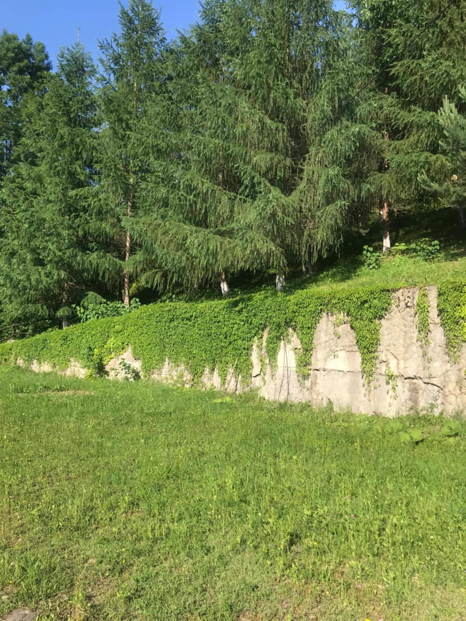 ромашка Ferienhaus